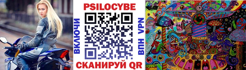 Псилоцибиновые грибы Cubensis  Болохово 